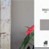 SOJO-CLASICA—BRAID-1009 SOJO-CLASICA—BRAID-1009