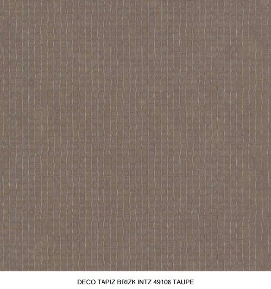 TST-BRIZK-INTZ-49108-TAUPE